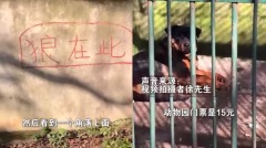 中国动物园“以狗充狼”网友笑喷(图)