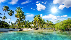 加勒比海北部食人族綁架女性蠶食男性(圖)