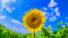 神祕的4大預言3個已實現一個即將驗證(圖)