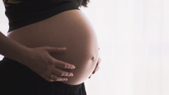 內地孕婦來港產子作虛假申述被囚14個月(圖)