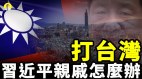 打台湾中共高官和习近平台湾亲戚怎么办(视频)