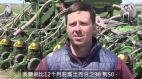 庄稼价格飞涨美国农民忧喜参半(图)
