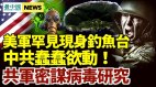 英媒曝光中共军方秘密参与病毒研究