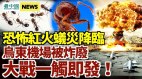炮轰开始俄乌大战在即美军誓保乌克兰