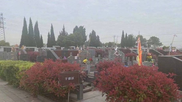 近日，有大陆网友发布照片显示，江苏常州金坛区一处公墓内用干部区、华侨区立碑分区（图片来源：微博）