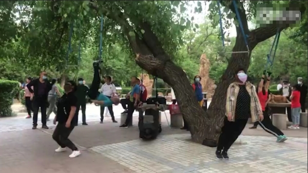 近期，中国大陆沈阳公园出现诡异景象，树上挂满了大爷大妈（图片来源：视频截图）