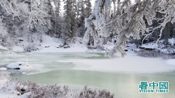 Cameron Falls夢幻的冬季景色。