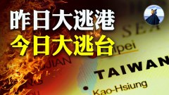 昨日大逃港今日大逃台(图)