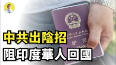 印度疫情爆发华人回国无门小粉红等祖国包机来接(视频)