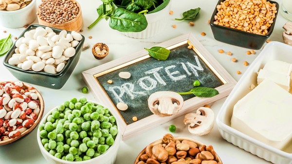 健康饮食素食食品，素食蛋白质来源：豆腐、素食牛奶、豆类、扁豆、坚果、豆奶、菠菜和种子