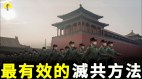 中國的躺平運動韭菜反抗鐮刀三孩政策讓領導先完成目標(視頻)