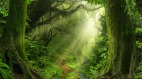 凭着双足五年走过来两个洲途径10个国家(图)
