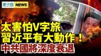 顛覆中共武裝戰隊出現;彭博評習近平噩夢已至