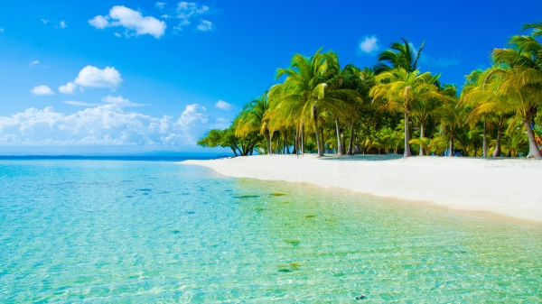 心理测验：荒岛生活只能带一样东西 沙滩