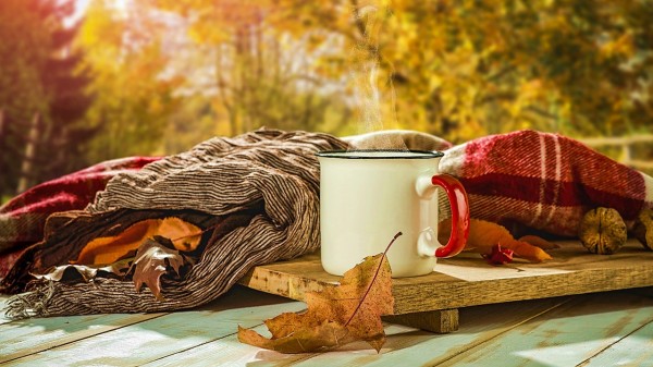 秋天郊外桌上的一杯茶