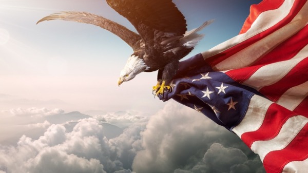 自用飞翔的美国国旗和美国鹰