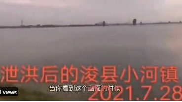 鹤壁浚县泄洪，数十村落被淹没（图片来源：视频截图）