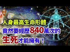 「佛法難聞人身難得」人身難得竟要經歷840萬次生死(視頻)