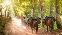 人心太坏农产品加“隐招”农民最终砸了自己的脚(图)