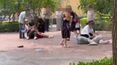 北京野生动物园火了游客打架动物效仿一度失控(视频图)