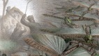 蝗虫大军入侵这些农人的田地竟展现了神迹(组图)