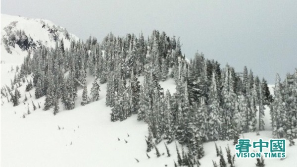 雷尼爾雪山，浩瀚的雪地一塵不染。