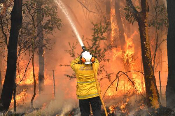 2019年12月10日，消防員在試圖扑滅悉尼以北約90-110公里的中央海岸的叢林大火。