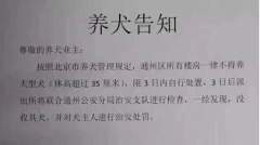 北京颁布限狗令宠物医院爆“安乐死潮”(图)