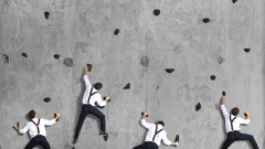 如何在“狼性”职场生存(组图)