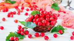 有益心脑血管的食物每天吃一点身体更健康(组图)