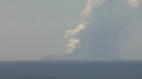 新西兰景点白岛火山爆发至少5死20伤数人失踪(图视频)