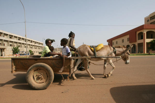 2007年10月17日，西非布基纳法索的一家人乘坐驴车在首都瓦加杜古四处逛逛。