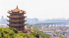 中共肺炎有限人傳人官方證實夫婦先後發病　(圖)