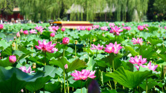 巧匠表演神奇戏法令朱元璋大开眼界(图)