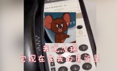 超搞笑：男子住酒店致电前台：房间里有杰瑞带汤姆来一下(图)