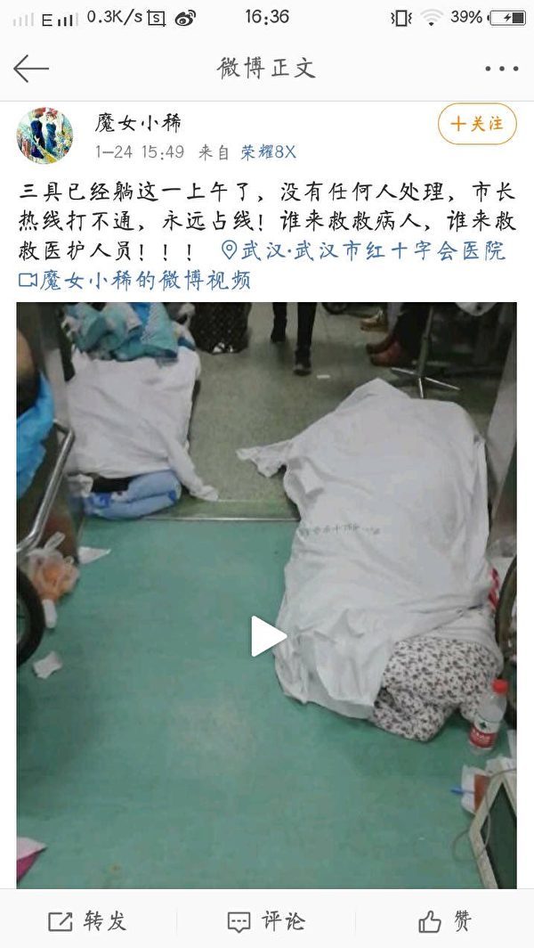 医护人员透露三人死于医院走廊，长时间无人处理。
