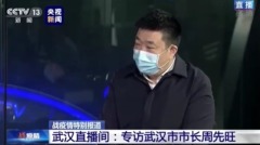 被批“甩锅高手”的武汉市长又陷名表疑云(组图)