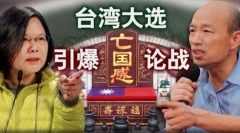 香港亡國感2020臺灣總統大選(組圖)