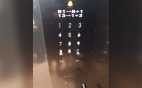 韩国新大楼电梯按法超特别网友：喝醉只能睡电梯了(图)