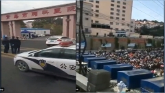 高层或早知青岛疫情网曝内幕(组图)