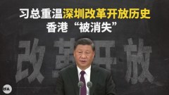 经济师不看好港深融合反会增加竞争(图)