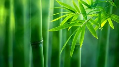 到手钱财为何如水流(图)