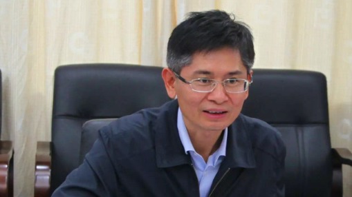 据官方人事调整惯例，蓝天立稍后也将接替已届退休之年的陈武，出任广西自治区政府主席。