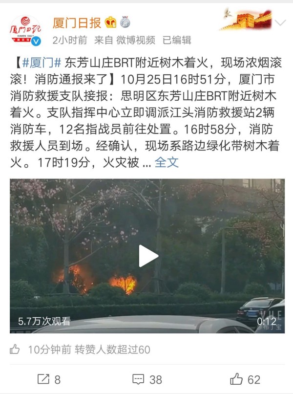 10月25日厦门市思明区东芳山庄BRT附近树木着火（图片来源：微博）