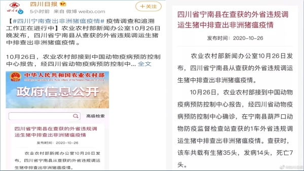 四川省宁南县爆出非洲猪瘟疫情（图片来源：微博）