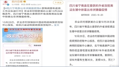 四川再爆出非洲猪瘟疫情(图)
