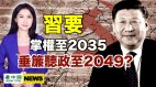 習欲掌權至2035垂簾聽政至2049