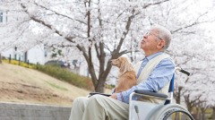 奇蹟柴犬預知死亡溫柔陪伴老人走完人生(圖)