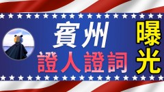 【最新消息】賓州證人證詞曝光數十萬選票違規川普團隊提交法院(視頻)