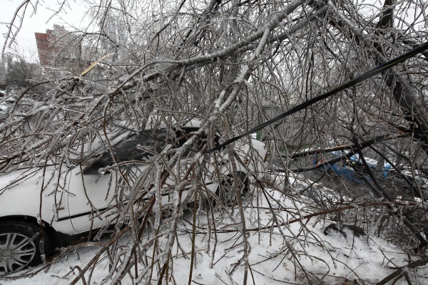 2020年11月19日拍攝的照片顯示，海參崴被冰雪凍住的樹枝掉在一輛汽車上。